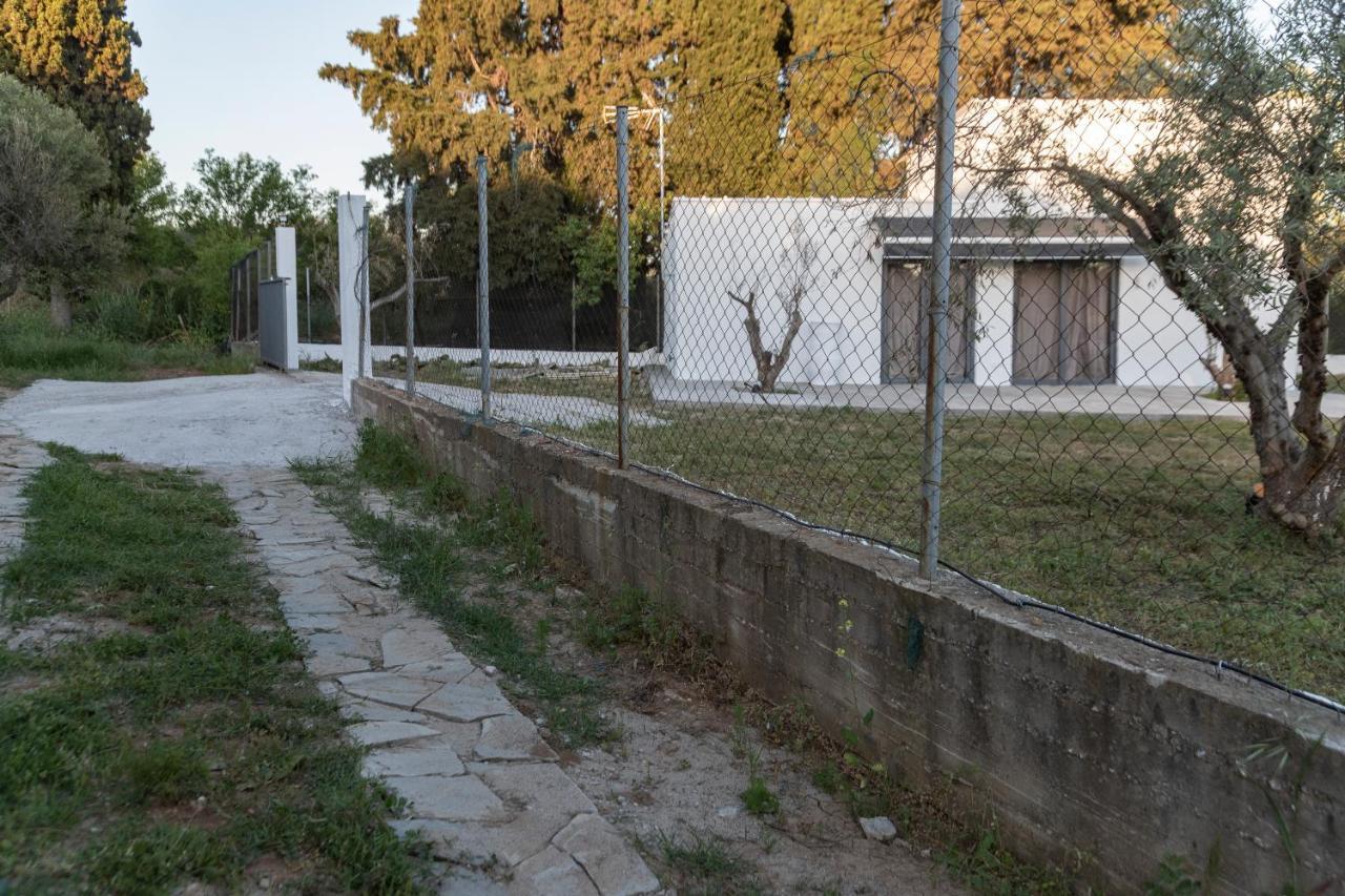 Olive View Loft Villa Dikella Bagian luar foto